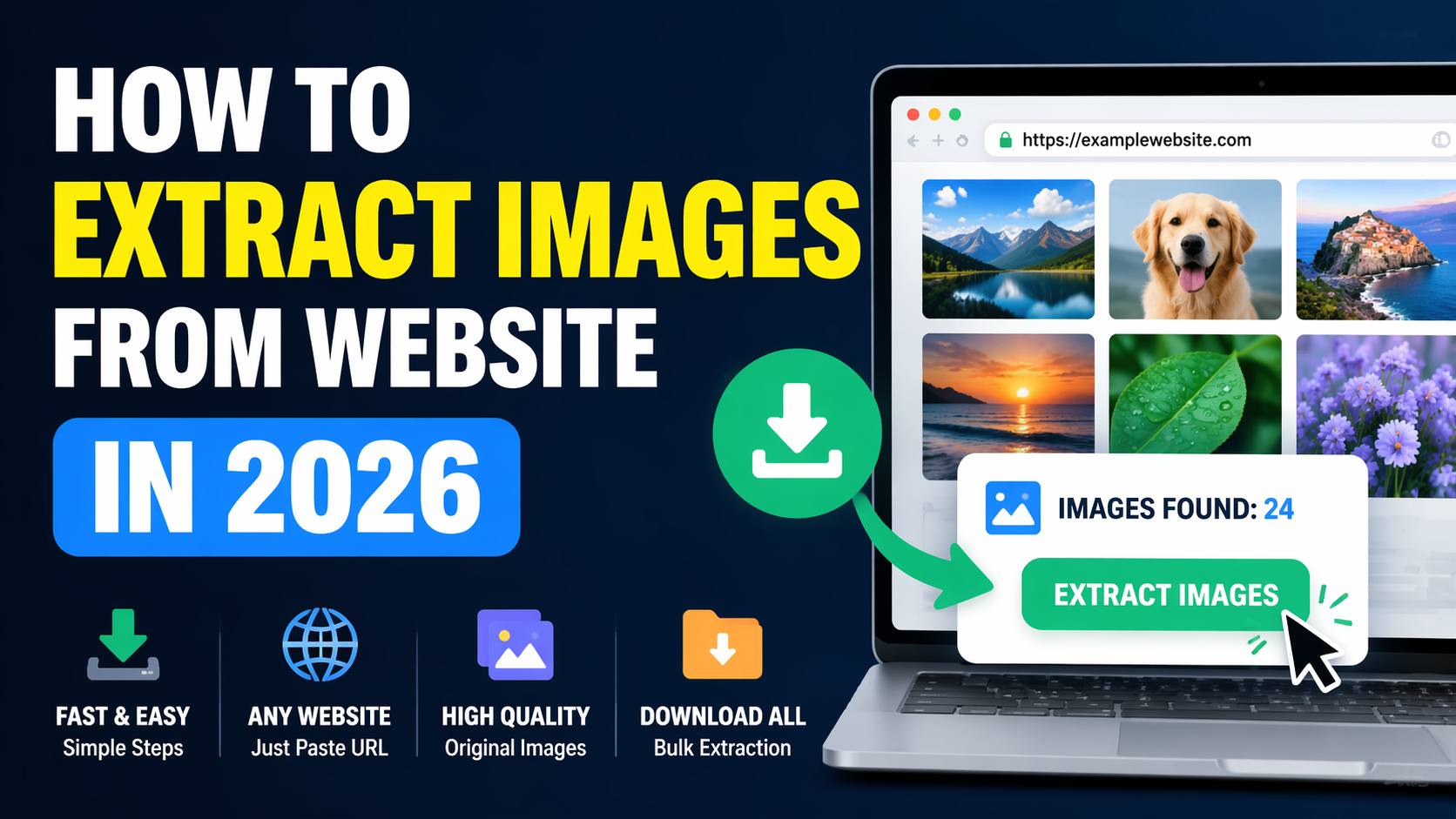 How To Extract Images From Website